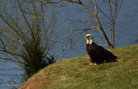 Tiny photo for 903 Frontier Circle, Friendsville, TN 37737 (MLS # 1339438)
