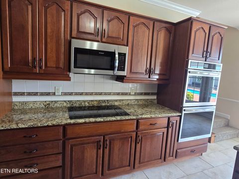 Tiny photo for 903 Frontier Circle, Friendsville, TN 37737 (MLS # 1339438)