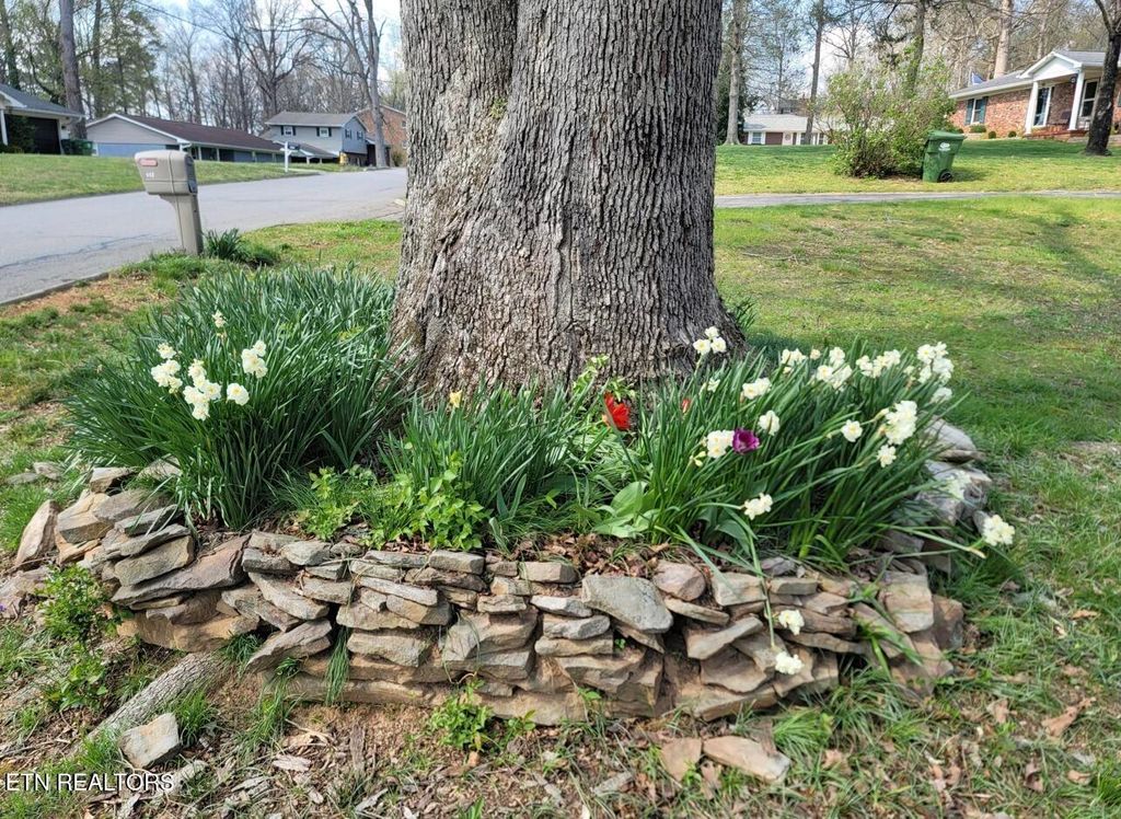 Photo of 422 Sherwood Drive, Maryville, TN 37801 (MLS # 1334391)