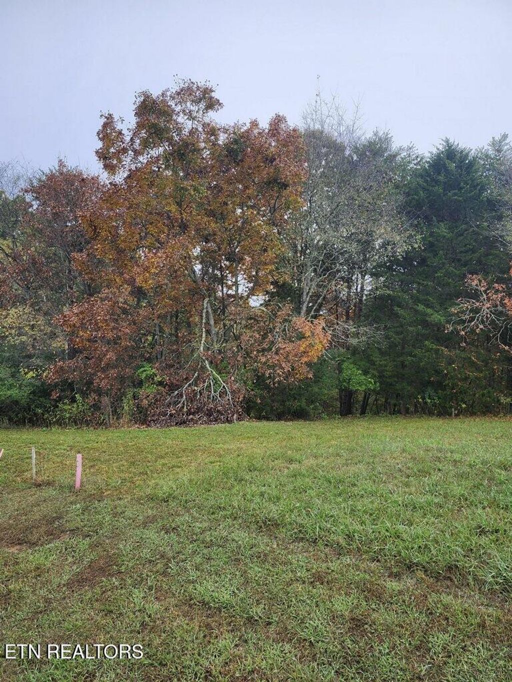 Photo of Lot 54 Deer Chase Trl, Dandridge, TN 37725 (MLS # 1281385)