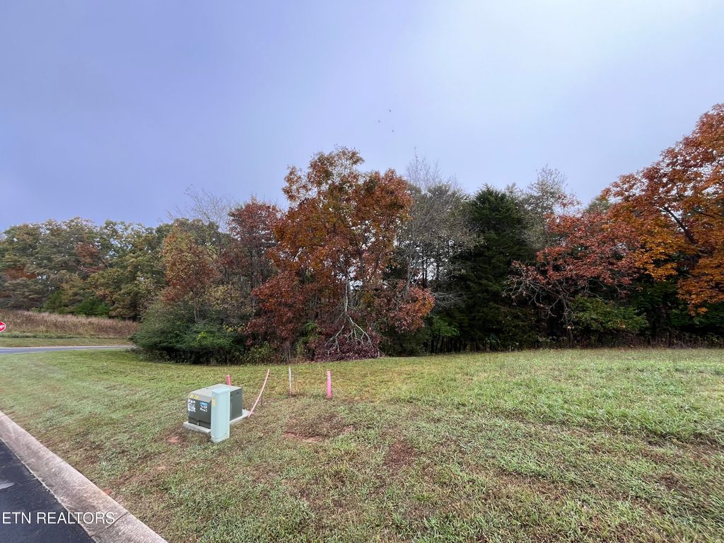 Photo of Lot 54 Deer Chase Trl, Dandridge, TN 37725 (MLS # 1281385)