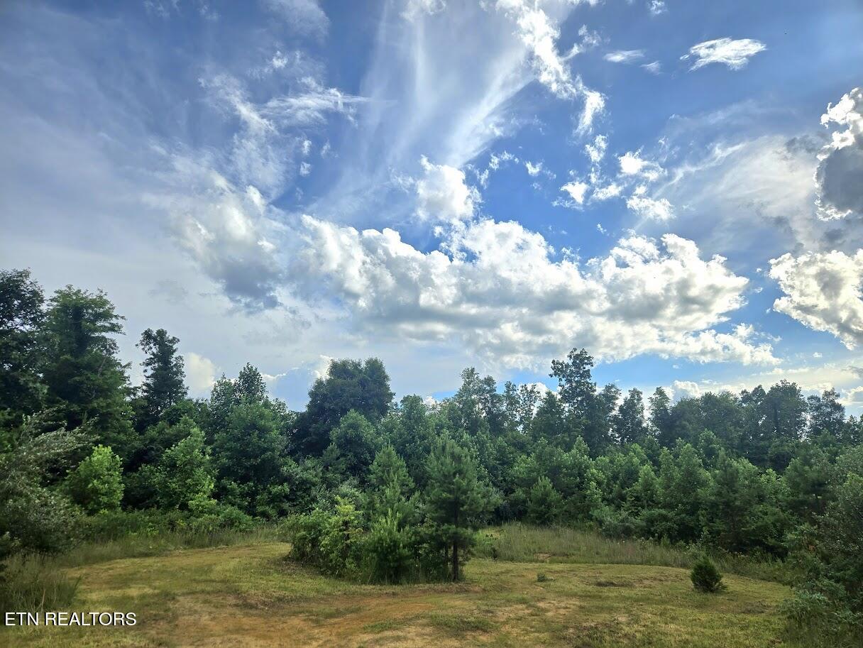 Tract 1 Grassy Knob Road