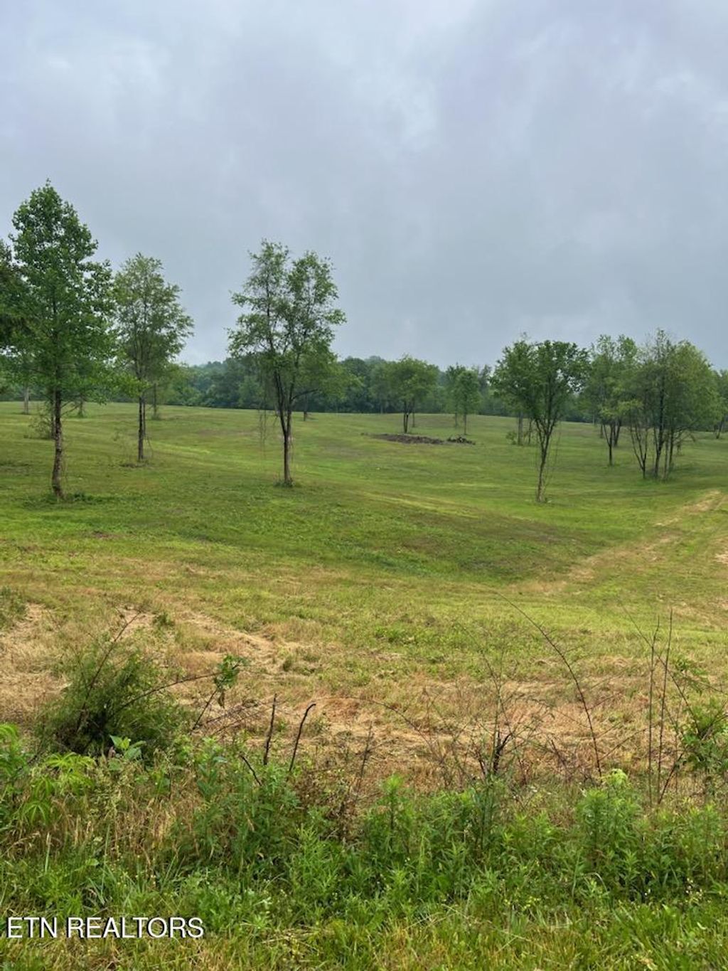 Photo of Stone Mill Lot 1 Rd, Jacksboro, TN 37757 (MLS # 1341787)