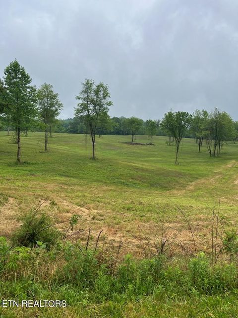 Photo of Stone Mill Lot 1 Rd, Jacksboro, TN 37757 (MLS # 1341787)