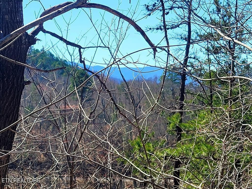 Photo of 3328 Sugar Maple Loop Rd, Sevierville, TN 37862 (MLS # 1329609)