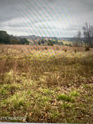 8200 SCHROEDER RD, POWELL, TN 37849 - Image 314a6f5f03c5b03e79ae258cc17c30ef/4056450820