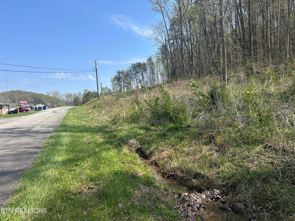 Photo of Douglas Lane, Jellico, TN 37762 (MLS # 1296830)
