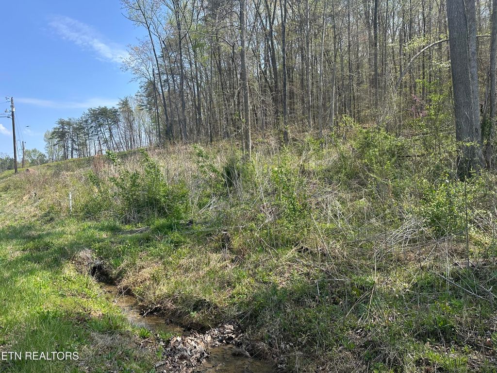 Photo of Douglas Lane, Jellico, TN 37762 (MLS # 1296830)