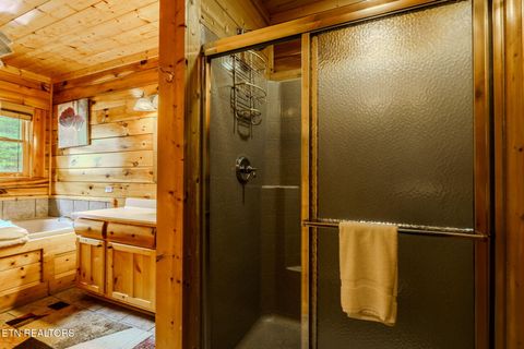 Tiny photo for 2724 Cats Paw Lane, Sevierville, TN 37862 (MLS # 1339299)