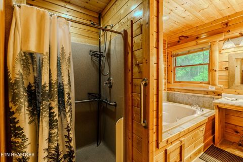 Tiny photo for 2724 Cats Paw Lane, Sevierville, TN 37862 (MLS # 1339299)