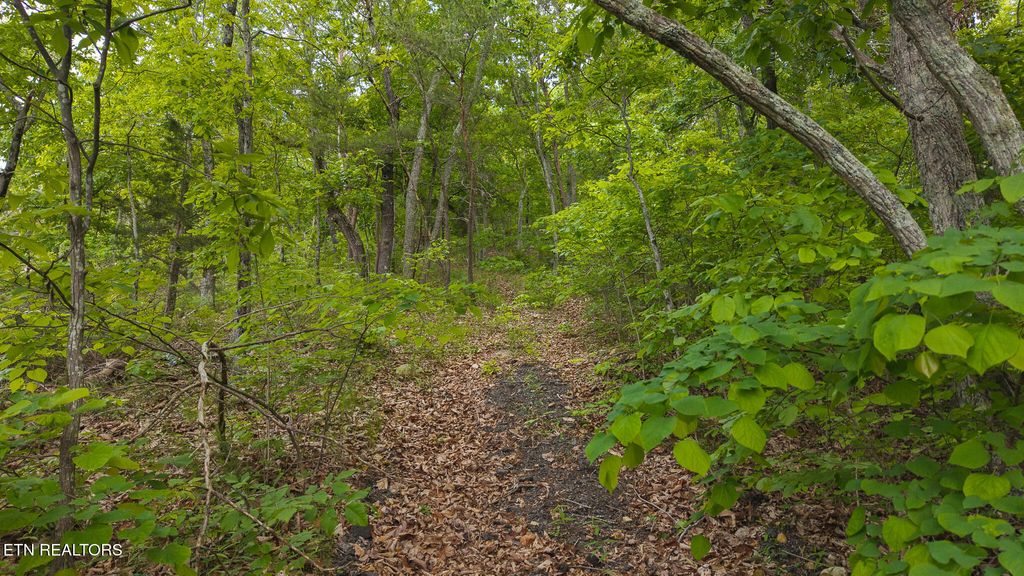 Photo of 0 25E Hwy, Thorn Hill, TN 37881 (MLS # 1302080)