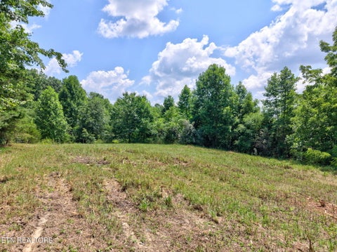 Tiny photo for 36 Kentucky Drive, Crossville, TN 38572 (MLS # 1346923)