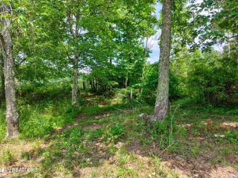 Tiny photo for 36 Kentucky Drive, Crossville, TN 38572 (MLS # 1346923)
