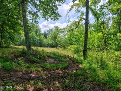 Tiny photo for 36 Kentucky Drive, Crossville, TN 38572 (MLS # 1346923)