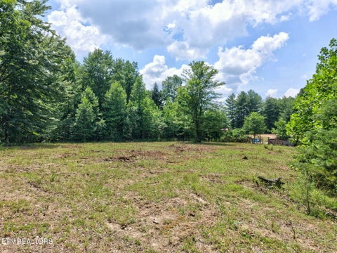 Tiny photo for 36 Kentucky Drive, Crossville, TN 38572 (MLS # 1346923)