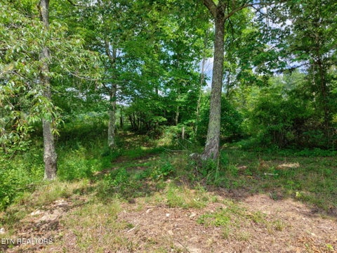 Tiny photo for 36 Kentucky Drive, Crossville, TN 38572 (MLS # 1346923)
