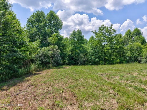Tiny photo for 36 Kentucky Drive, Crossville, TN 38572 (MLS # 1346923)