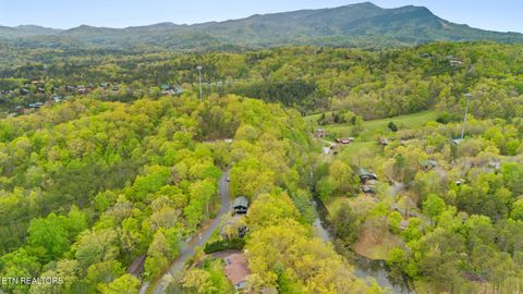Tiny photo for 720 Timberlake Drive, Pigeon Forge, TN 37862 (MLS # 1335629)