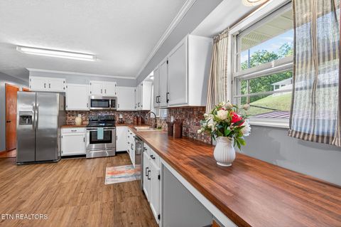 Tiny photo for 458 Warford Rd, Newport, TN 37821 (MLS # 1337684)