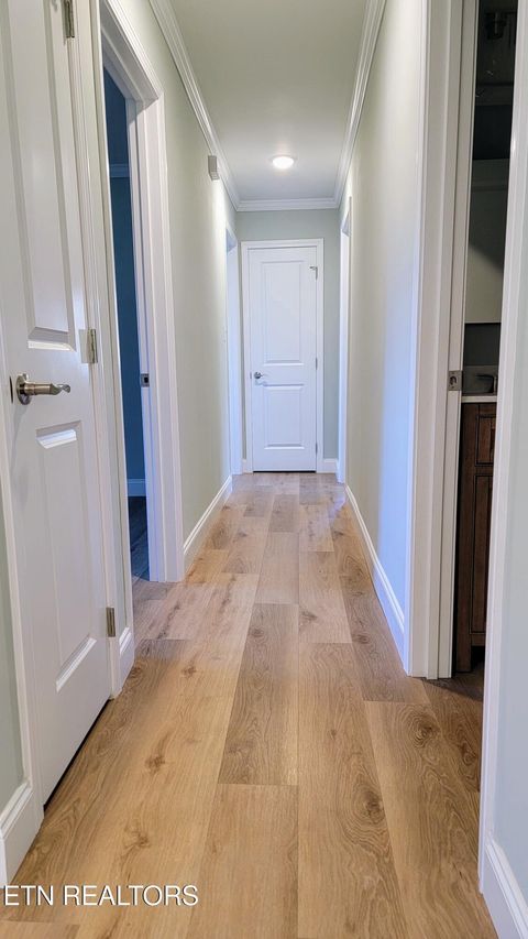 Tiny photo for 7112 Rollins Rd, Knoxville, TN 37918 (MLS # 1321086)