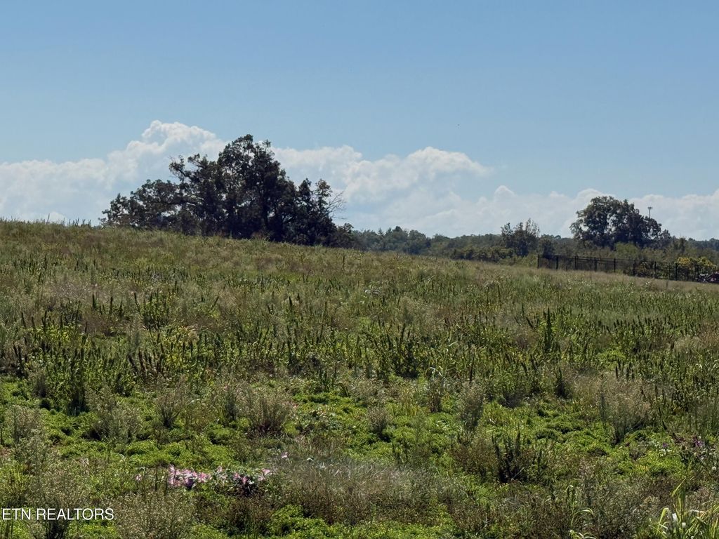 Photo of 5462 Nail Creek Rd, Maryville, TN 37804 (MLS # 1315942)