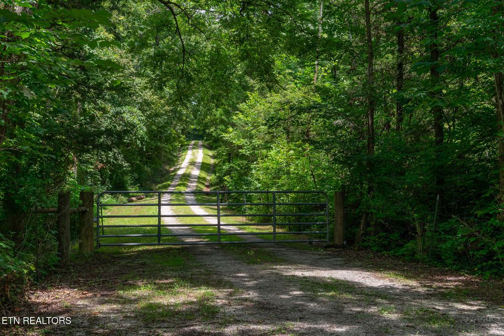 Photo of 9050 Freeland Rd, Corryton, TN 37721 (MLS # 1310026)