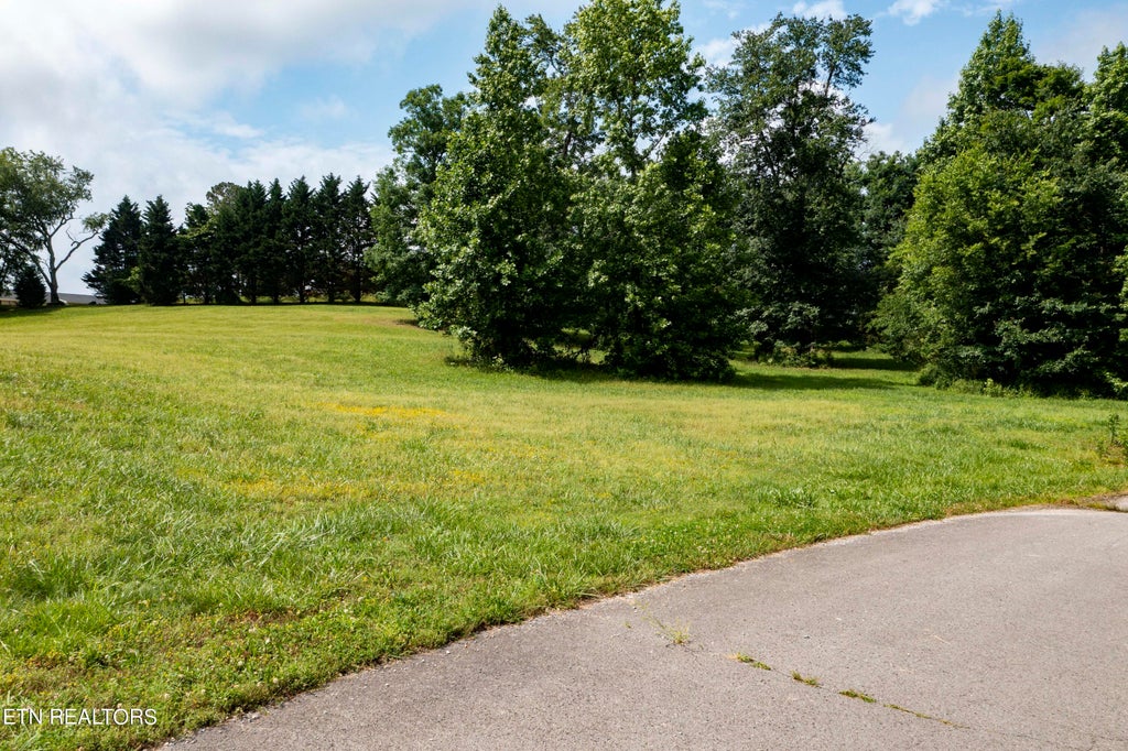 Photo of 31 Arlis Ave, Dayton, TN 37321 (MLS # 1265506)