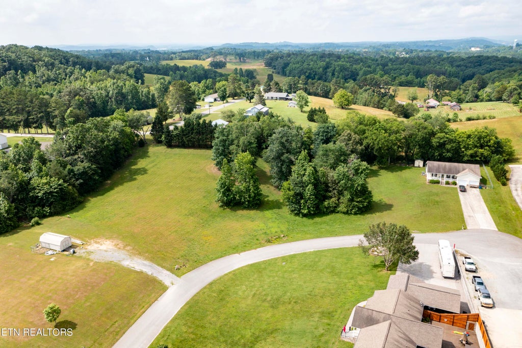 Photo of 31 Arlis Ave, Dayton, TN 37321 (MLS # 1265506)