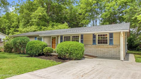 Photo of 4700 Elm View Drive, Knoxville, TN 37921 (MLS # 1342939)