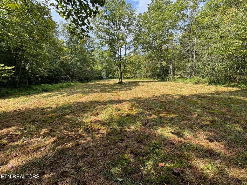 Photo of 0 Hwy 297, Pioneer, TN 37847 (MLS # 1317451)