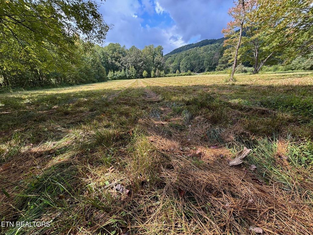 Photo of 0 Hwy 297, Pioneer, TN 37847 (MLS # 1317451)