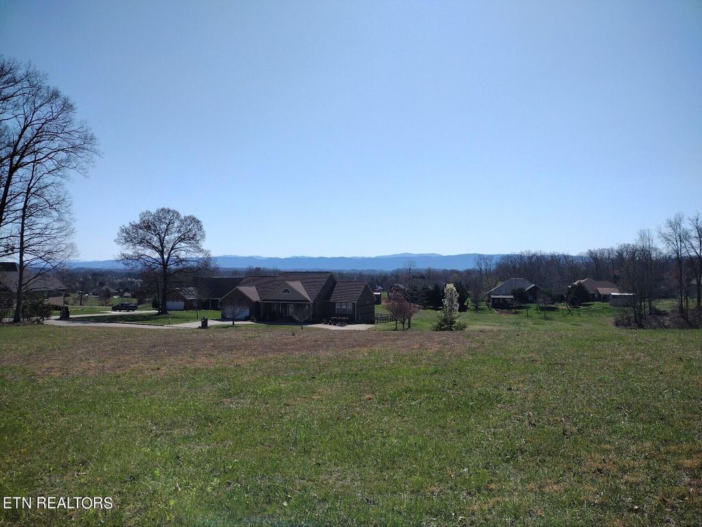 Photo of 1151 Houston Springs Rd, Greenback, TN 37742 (MLS # 1263751)