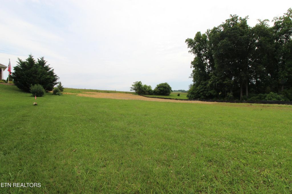 Photo of 1151 Houston Springs Rd, Greenback, TN 37742 (MLS # 1263751)