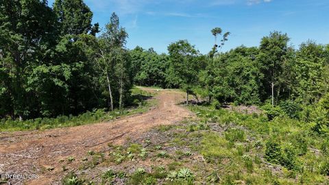 Photo of 2 Lamontville Rd, Decatur, TN 37322 (MLS # 1336730)