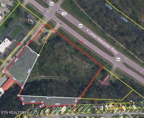 7062 E Lamar Alexander Pkwy Townsend TN 37882