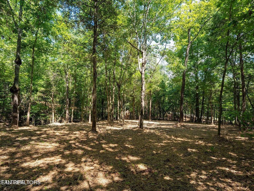 Photo of 125 Pinecrest Drive, Loudon, TN 37774 (MLS # 1347075)