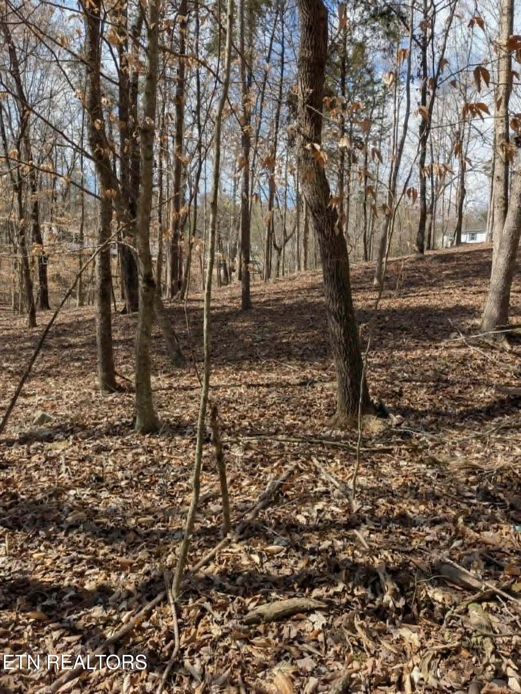 Photo of 125 Pinecrest Drive, Loudon, TN 37774 (MLS # 1347075)