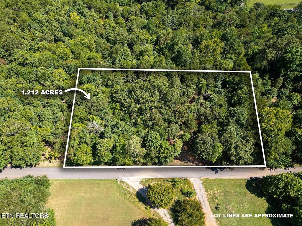 Photo of 125 Pinecrest Drive, Loudon, TN 37774 (MLS # 1347075)