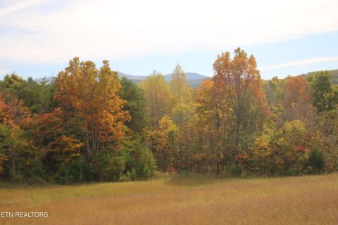 29 Acres Ballplay Road Tellico Plains TN 37385
