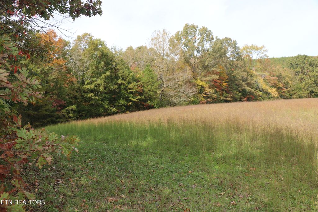 Photo of 29 Ballplay Road, Tellico Plains, TN 37385 (MLS # 1319998)