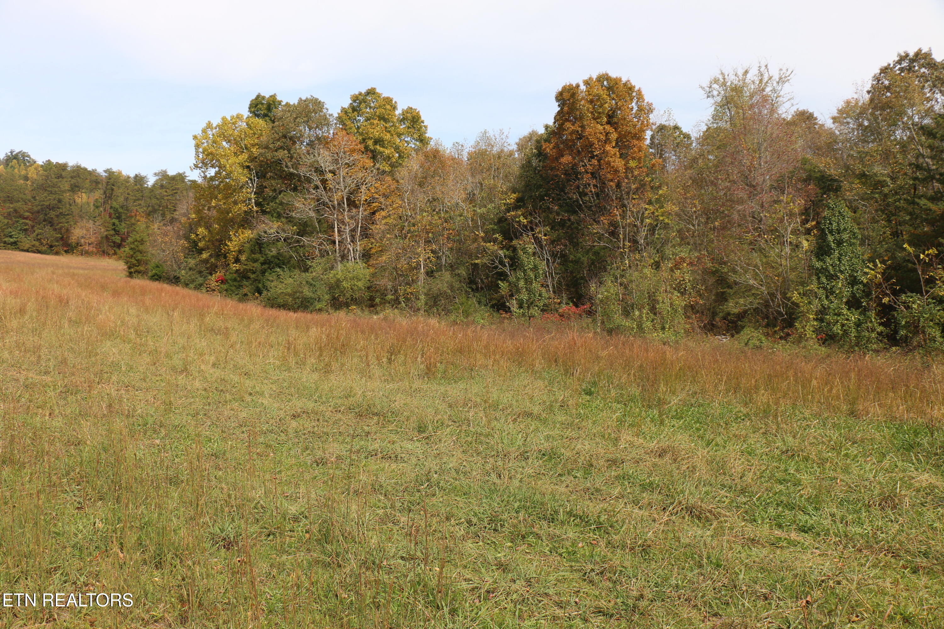 29 Acres Ballplay Road