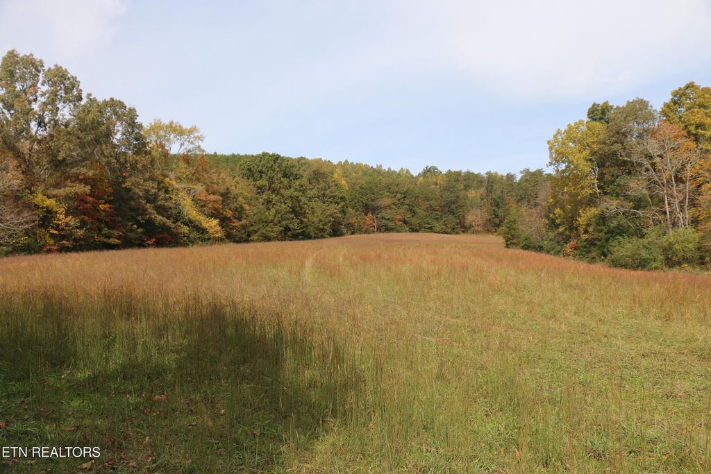 Photo of 29 Ballplay Road, Tellico Plains, TN 37385 (MLS # 1319998)