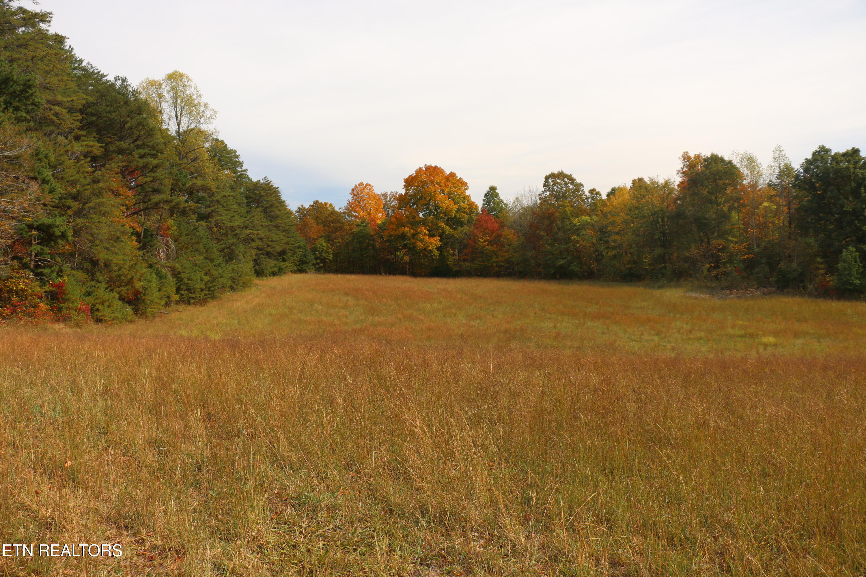 29 Acres Ballplay Road