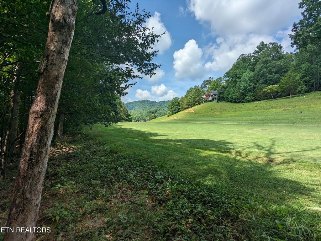 Photo of 738 Hunters Run Rd, Townsend, TN 37882 (MLS # 1271888)