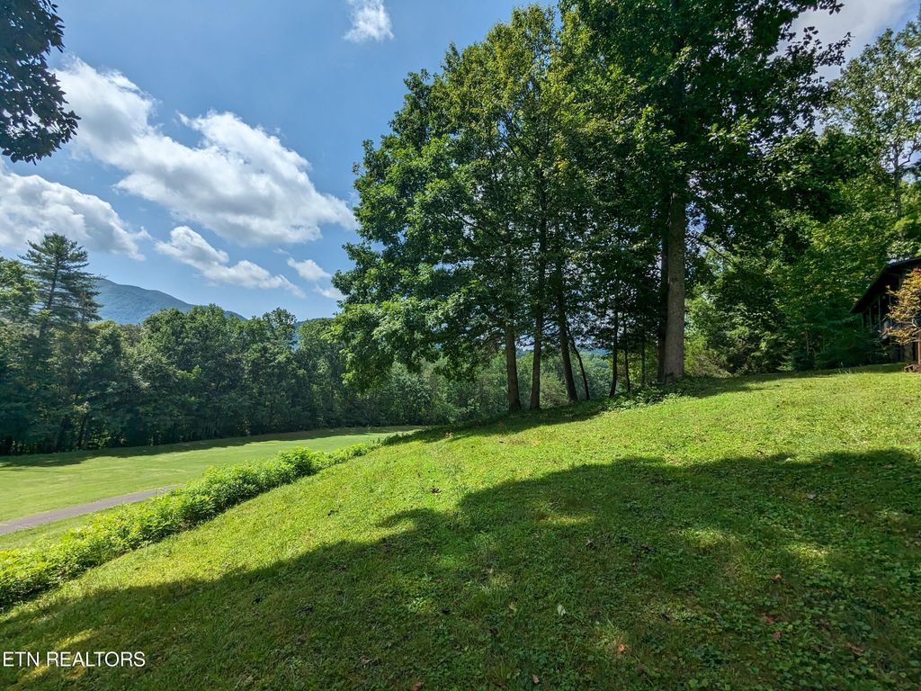 Photo of 738 Hunters Run Rd, Townsend, TN 37882 (MLS # 1271888)