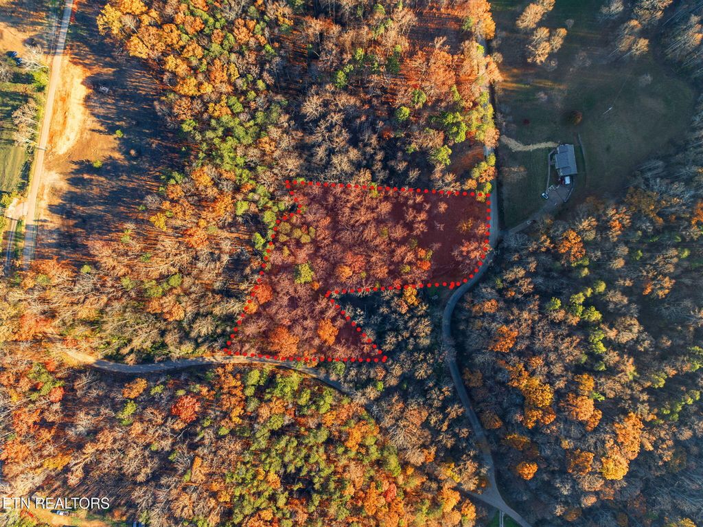 Photo of 278 Norman Rd, Powell, TN 37849 (MLS # 1283870)