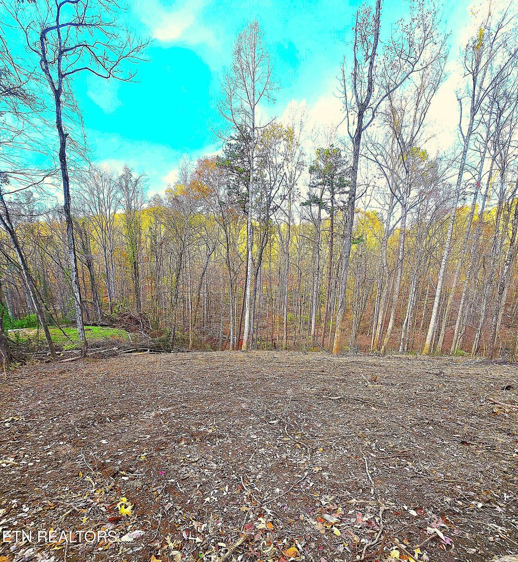 Photo of 278 Norman Rd, Powell, TN 37849 (MLS # 1283870)