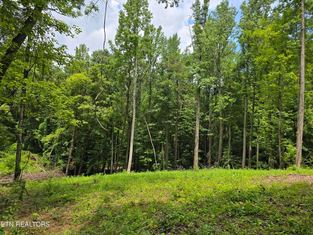 Photo of 278 Norman Rd, Powell, TN 37849 (MLS # 1283870)