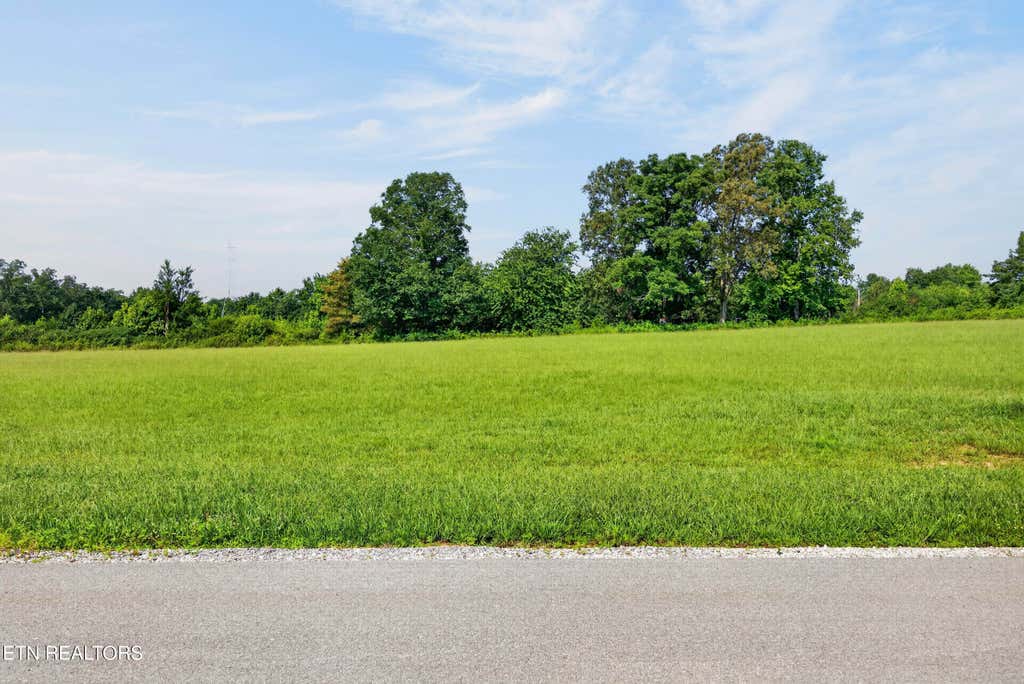Photo of 1477 Anna Maria Lane, Cookeville, TN 38501 (MLS # 1349437)