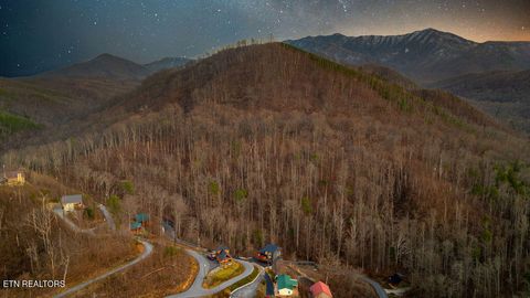 Tiny photo for 814 Davenport Rd, Gatlinburg, TN 37738 (MLS # 1327355)